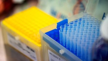 Play Zone Gcash Login