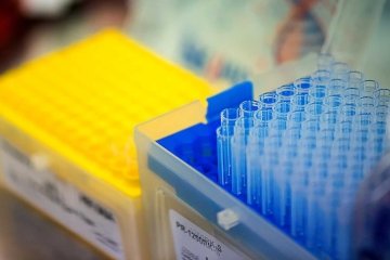 Play Zone Gcash Register